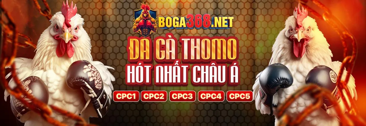 Đá gà trực tiếp tại i9bet